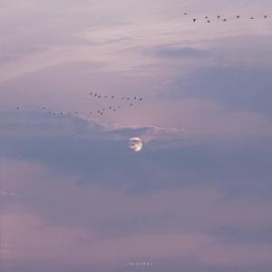 中国女人少妇㓔交
